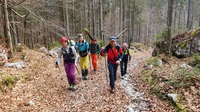 Group of people with skis and helmets hiking on a forest path in the mountains.