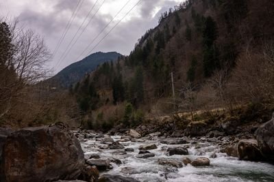 구름이 낀 하늘 아래 숲이 우거진 언덕에 둘러싸인 돌과 나무가 있는 산 강.