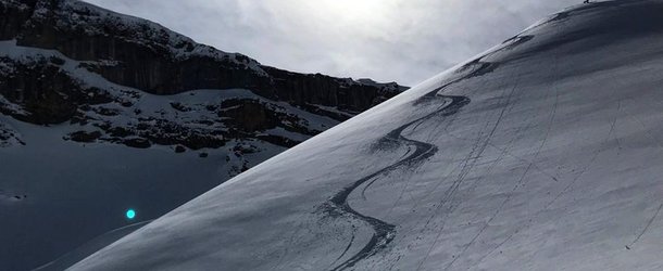 Skispur im Pulverschnee