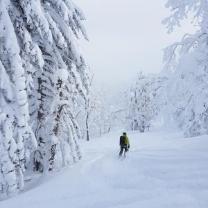 Freeride-Schweiz-Schnee-Winter-Bern