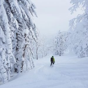 Freeride-Schweiz-Schnee-Winter-Bern