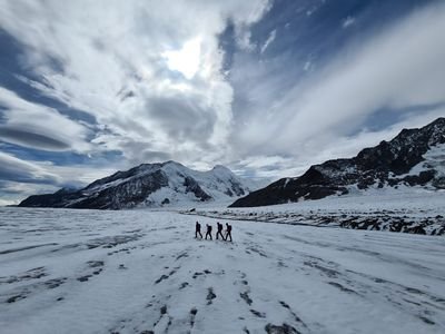 Four people hike on the Aletsch Glescher