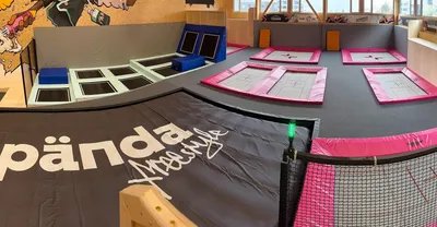 판다 프리스타일