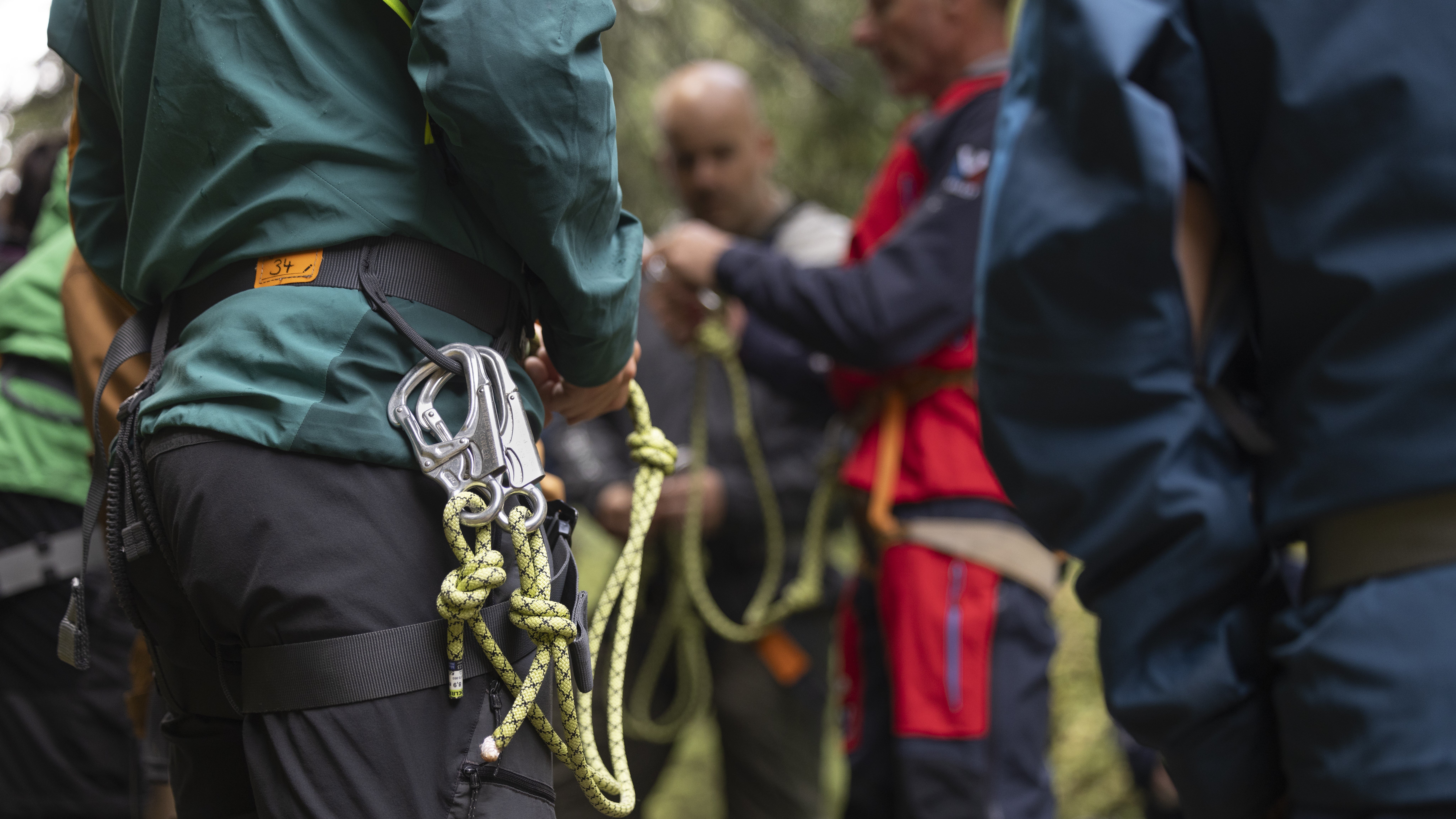 Personen mit Klettergurten und Seilen im Wald, Fokus auf Sicherheitsausrüstung.