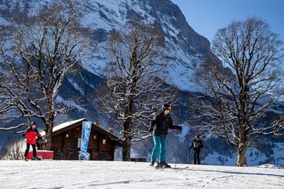 Skiers wearing helmets and goggles on a snowy slope with mountains and trees in the background.
