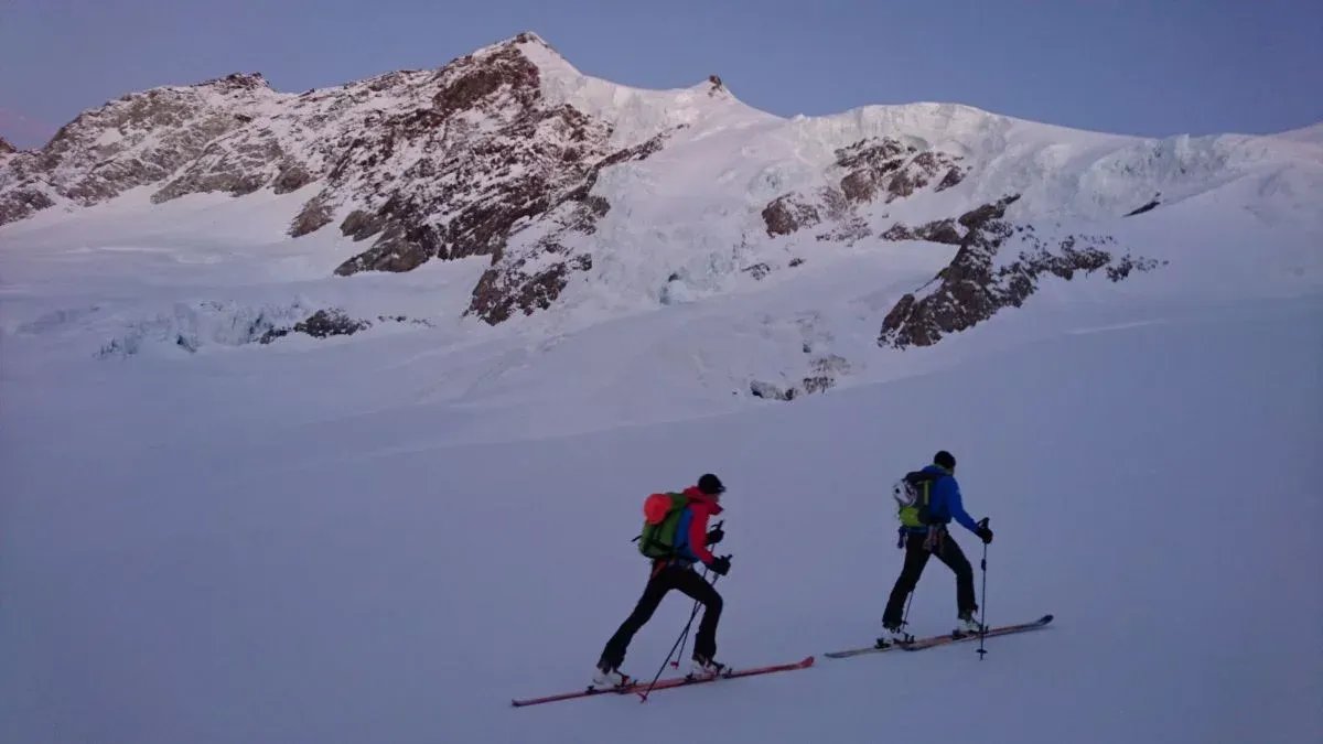 Ski tourers ascending to the Aletschhorn.