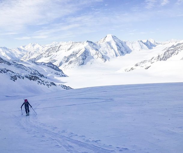 Ski tourers ascending to the Gross Fiescherhorn.