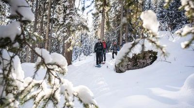 Group of snowshoe hikers in the forest