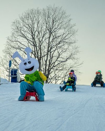 Three people sledding on snow, one in a rabbit costume, others in helmets and winter gear.