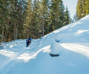 Hikers with backpacks and poles walking on a snowy trail in a forested mountain area.