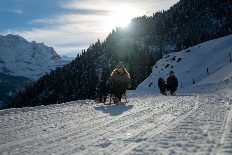 Menschen rodeln auf einem verschneiten Bergpfad, tragen Winterkleidung und Sonnenbrillen, mit Bäumen und Gipfeln.