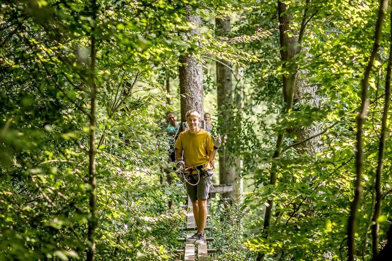 Person walks on a narrow wooden bridge in the Interlaken Rope Park through the green treetops