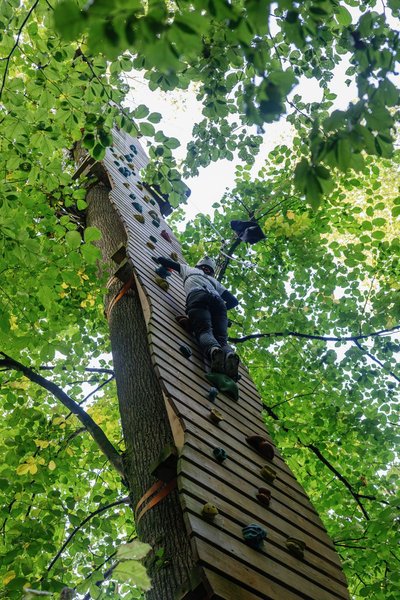 Person climbing on a tree-mounted wooden wall with climbing grips in the Rigi Rope Park
