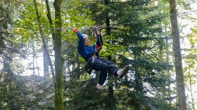 Person riding a zipline through the forest is wearing a helmet, a safety harness, and gloves, surrounded by trees.