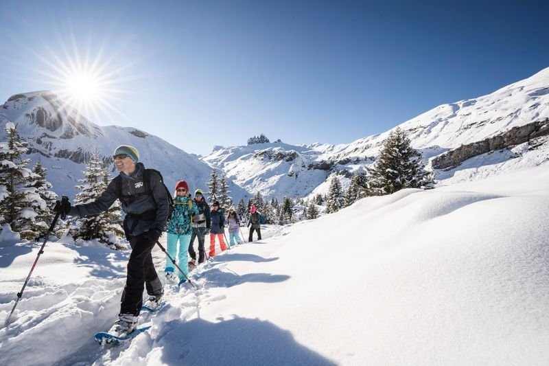 People with snowshoes and poles are hiking in a snowy mountain landscape in the sunshine.