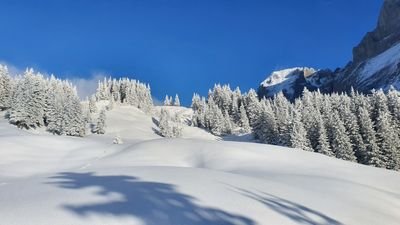 Verschneite Berglandschaft mit Tannenbäumen und klarem blauen Himmel in den Schweizer Alpen.